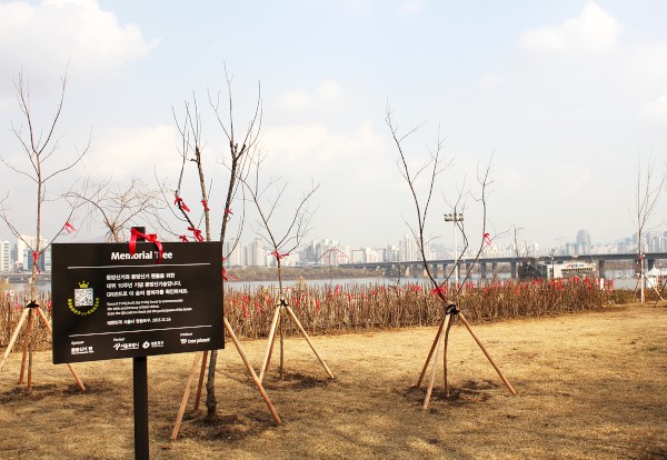 東方神起の森（写真提供：ツリープラネット）