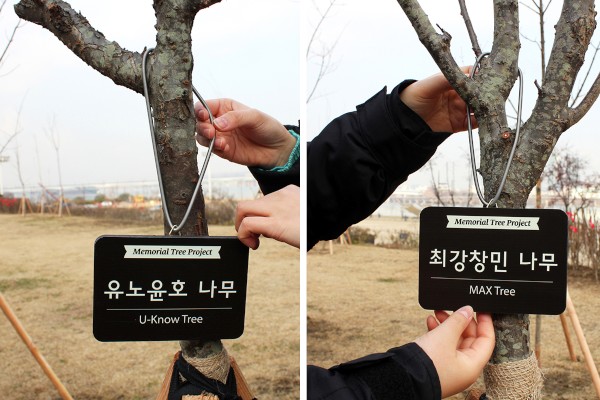 東方神起メンバーの木（写真提供：ツリープラネット）