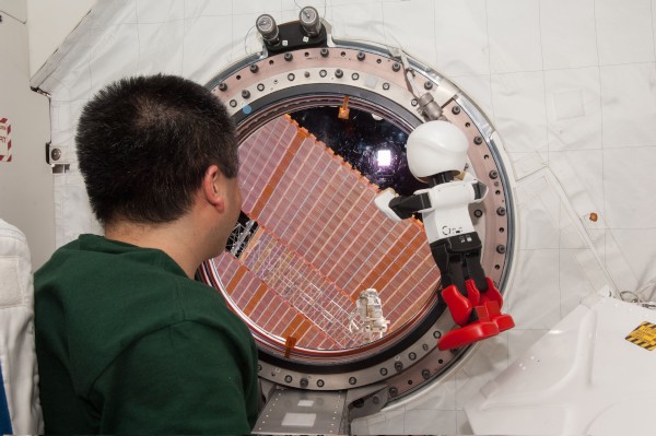 国際宇宙ステーション（ISS）で若田光一さんとの会話実験を行ったロボット宇宙飛行士「KIROBO」（写真提供：トヨタ自動車）