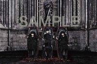 BABYMETAL タワレコ人気アイドル企画第50弾ポスターに登場