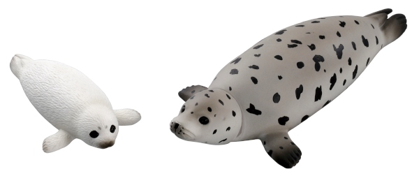 ゴマフアザラシ