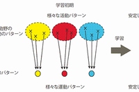 学習における活動パターンの変化を示す模式図。学習初期には、試行ごとにさまざまな神経活動のパターンと運動パターンが試される。学習の過程でこの活動と運動の関連性が改められ、学習された運動パターンに特化した活動パターンが試行ごとに再現されるようになる。