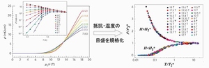 今回得た実験データを臨界スケーリングと呼ばれる手法で解析した結果。様々な温度と磁場における抵抗率の測定結果（左図）は、2つの曲線のいずれかにスケールし（右図）、その境界磁場として量子臨界点が求まった。（東京工業大学の発表資料より）