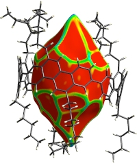 幾何学的手法を用いたカーボンナノチューブ内の空間形状の分析結果。有限長カーボンナノチューブ分子が棒状分子模型で示され、内部の空間形状が色つき図で示されている。有限長カーボンナノチューブ分子に囲まれた部分（中央部分）は、一様に赤い表面となっており、変曲点（緑）が存在しない「つるつる」の曲面となっていることが明らかとなった。（東北大学の発表資料より）