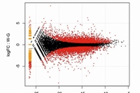 クロレラ共生・非共生時の宿主ミドリゾウリムシの遺伝子発現変化を示す図。ミドリゾウリムシのひとつひとつの遺伝子が点でプロットされている。X軸は遺伝子発現強度を示し、右に行くほど発現量が高いことを意味する。Y軸は発現の変動の倍率を示し、0は変動がないことを意味し、0から上下に乖離するほど変動が大きいことを意味する。赤のプロットは統計的に有意に発現の変動が認められた遺伝子。（基礎生物学研究所の発表資料より）