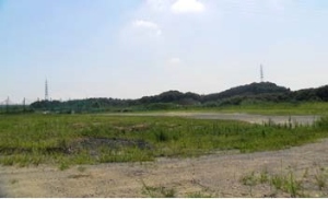 太陽光パネルの設置予定地