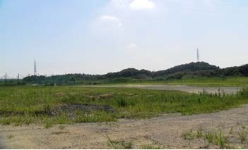 太陽光パネルの設置予定地