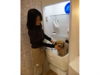 今月、千葉県にある大型ショッピングモール内に「イオンペット」がオープンすると発表されたが、注目を集めた理由は、それが犬用の介護サービス施設だということにある