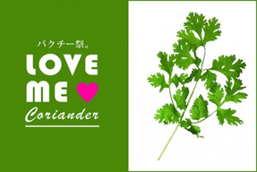パクチー好きのための５日間！原宿ROCKETで「パクチー祭。」 - トークショーや特製弁当など