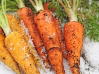 青森市にある「デザインワースSTmind」が発売した「おやさいクレヨン　vegetabo(ベジタボー)」は廃棄処分される野菜から作られている。5月に発売された第2弾は、100%青森県産の野菜を使用。絵を描くと、優しい自然な色味が出て、ほんのりと野菜のかおりが漂う。