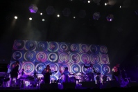 【FUJI ROCK FESTIVAL '14】2日目はアーケイド・ファイアでフィナーレ、デーモン・アルバーンやセイント・ヴィンセントも登場