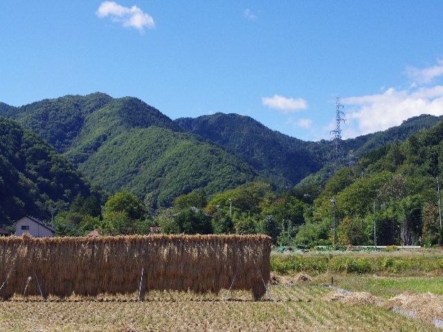 エナリスが再生可能エネルギー発電所の建設に乗り出すことを発表した。エナリスが建設を目指すのは林業・漁業・農業など地元の第1次産業と発電事業を組み合わせた発電所で、その第一弾として建設されるのが大分県佐伯市のバイオマス発電所だ