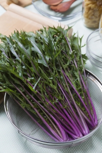 タキイ種苗は7日、2014年度の新品種として、サラダなど料理のアクセントにぴったりの赤紫色のミズナ「紅法師」を新発売する。