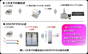 岡山大学の田原誠教授らによる研究グループが開発した、短時間でイチゴの品種を判定することのできる技術の概要を示す図(岡山大学の発表資料より) 岡山大学の田原誠教授らによる研究グループが開発した、短時間でイチゴの品種を判定することのできる技術の概要を示す図(岡山大学の発表資料より)