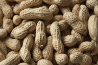 政府は生まれ故郷や応援したい地方自治体に寄付すると住民税などが控除される「ふるさと納税」の控除額の上限を引き上げ、制度を拡充する方針だ。7月には菅義偉官房長官が「額を2倍にすることや手続きを簡単にすることを含めて取り組んでいきたい」と述べた。