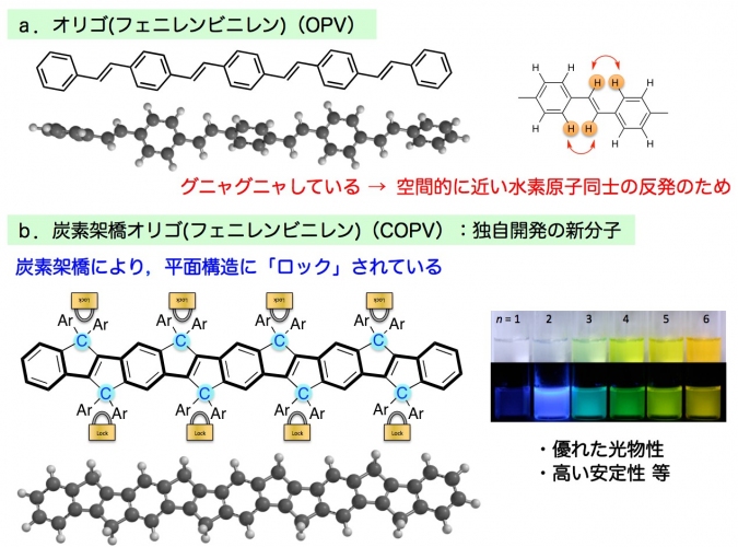 オリゴフェニレンビニレン（OPV）と炭素架橋フェニレンビニレン（COPV）の構造を示す図（東京大学の発表資料より）