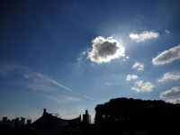 東京都渋谷区に本部を置く大手予備校「代々木ゼミナール」が、全国展開している27校のうち約20校を閉鎖する予定であることを明らかにした。閉鎖は来春をめどに計画が進められており、該当する校舎ではそれ以降の生徒の募集を打ち切る方針だ。