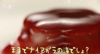 「プッチンプリン」史上、最大量となるフルーツソースが組み合わされた大人向けのプッチンプリン『プッチンプリンナイアガラソースが9月22日に発売される。