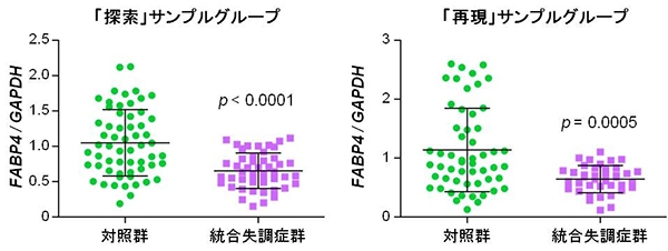 統合失調症の毛根細胞における遺伝子発現解析を示す図。統合失調症患者の毛根細胞では、対照群の毛根細胞に比べてFABP4遺伝子の発現量が低下していた（理化学研究所の発表資料より）