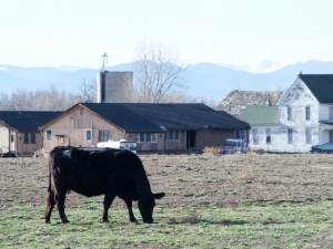環太平洋連携協定(TPP)の交渉会合が9月1日から10日まで実施され、12カ国の首席交渉官がベトナムのハノイに集まった。会合の中でカナダが日本に対し、農産物の関税率を米国の交渉結果と等しくするように要求。