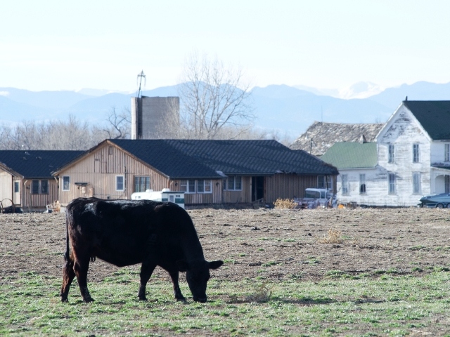 環太平洋連携協定(TPP)の交渉会合が9月1日から10日まで実施され、12カ国の首席交渉官がベトナムのハノイに集まった。会合の中でカナダが日本に対し、農産物の関税率を米国の交渉結果と等しくするように要求。