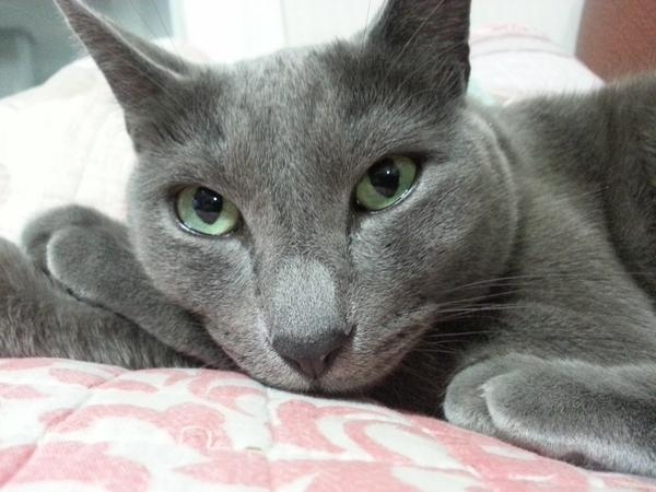 2PMのチャンソンは22日、自身のツイッターにチョンガミの写真3枚をアップし目を引いた。写真＝チャンソンのツイッター