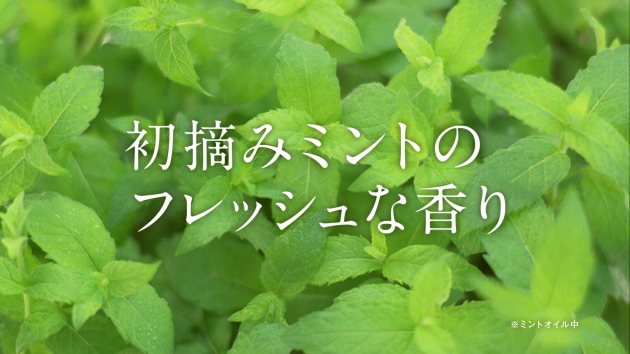 ロッテ『グリーンガム』のCMキャラクターである武井咲さんと、新たに中村玉緒さんが出演する新CM「玉緒フレッシュ」篇が9月26日からWeb上で公開されている。