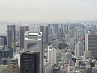 たかの友梨ビューティクリニクが揺れている。仙台店勤務の女性社員が、残業代一部未払いの問題を労働基準監督署に申告。これを知った同社社長の高野氏が同店に来店し、パワハラとも取れる言動で、この従業員の行動を約2時間半に渡り非難したことが問題となっている。