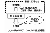 東京工科大学の浦瀬太郎教授らによる研究グループは、都市の水辺に発生するカビ臭の原因物質が2,4,6-トリクロロアニソールであることを明らかにした。