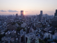 安倍晋三総理は今月6日の衆議院予算委員会で総理が9月に訪米した際に講演した内容について、自ら「日本は過酷な事故を経験したので、完全に安全を確認しない限り、原子力発電所は動かさないと申し上げた」と明言した