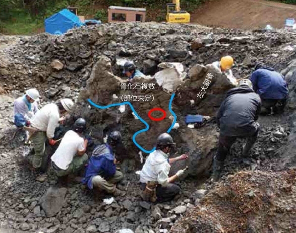 産地の写真と上顎骨が発見された場所（赤丸）（北海道大学の発表資料より）