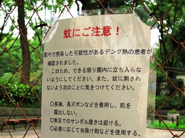 日本でも今年大流行したデング熱。英国のオキシテック社は、デング熱対策に遺伝子組み換え蚊を自然界に放つ研究を進めている。遺伝子組み換え蚊の子孫はたんぱく質を正常に作ることができないため、成虫になる前に死んでしまう。
