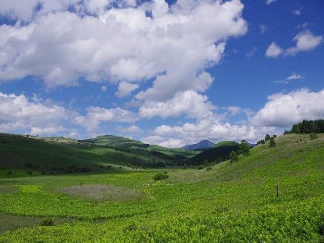 生物多様性という言葉を知っている人はどれくらいだろうか。内閣府の調査で、生物多様性という言葉について52.4%の人が「聞いたこともない」と答えた。それほど認知度が低い社会的課題である。この生物多様性条約の第12回締約国会議が、韓国の平昌で開催された。