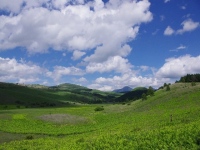 生物多様性という言葉を知っている人はどれくらいだろうか。内閣府の調査で、生物多様性という言葉について52.4%の人が「聞いたこともない」と答えた。それほど認知度が低い社会的課題である。この生物多様性条約の第12回締約国会議が、韓国の平昌で開催された。