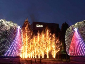 京都市内最大級の約60万個のイルミネーションで古都の夜を彩る、ローム株式会社のイルミネーションイベント。シンボルツリー・ヤマモモの木を中心に、光の森が現れる