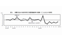 消費支出の対前年同月実質増減率の推移（二人以上の世帯）を示す図（総務省「家計調査報告－平成26年(2014年)10月分速報」より）