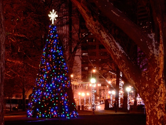 アメリカでは感謝祭が明けると、国全体、街全体が一気にクリスマスムードへと変わる。商店や街頭だけでなく、民家にもイルミネーションが多く施され、年末までの1ヶ月間を華やかに彩っていく。今年は、数年振りのクリスマス消費増加への期待が高まっている。