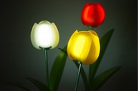 「光る有機ELチューリップ」と『光のチューリップガーデン』のイメージ（コニカミノルタの発表資料より）