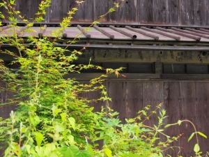 空き家問題が顕在化している。管理がなされていないまま不法侵入や放火の原因になることもあれば、周囲の景観も著しく悪化させる