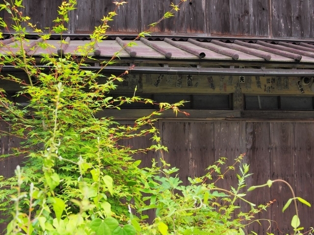 空き家問題が顕在化している。管理がなされていないまま不法侵入や放火の原因になることもあれば、周囲の景観も著しく悪化させる