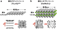磁場に対して垂直に配向する酸化チタンナノシート（a：今回共同研究グループが発見した配向）、および、磁場に対して平行に配向する酸化ニオブナノシート（b：これまで報告されてきた酸化物ナノシートの典型的な磁場配向）（理化学研究所の発表資料より）