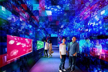 東京・すみだ水族館の煌めくクラゲ万華鏡トンネルが常設に - 大水槽のプロジェクションマッピングも延長