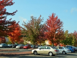 新成人の運転免許保有率は57%、マイカー所有率は13%、「車に興味がある」は46%、「所有する経済的な余裕がない」は71%、カーライフに掛けられるお金の平均額は月18656円、車の購入予算の平均額は189万円。 新成人の運転免許保有率は57%、マイカー所有率は13%、「車に興味がある」は46%、「所有する経済的な余裕がない」は71%、カーライフに掛けられるお金の平均額は月18656円、車の購入予算の平均額は189万円。