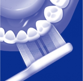 「システマ アーチフィット ハブラシ」で磨いているイメージ 「システマ アーチフィット ハブラシ」で磨いているイメージ