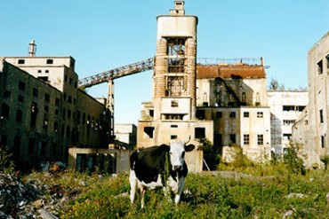 ワタリウム美術館で「ここより北へ」石川直樹＋奈良美智展 - 青森・北海道・サハリンの旅