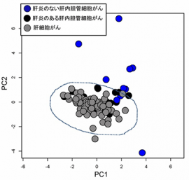 塩基置換パターンに基づく、肝内胆管がんと肝細胞がんのゲノム全体でみた変異パターンの類似状況を示す図（理化学研究所の発表資料より）