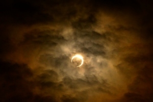 きれいな写真で心を癒しませんか？ - Android アプリ 「untitled」