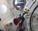 第一声を発した際のKIROBO(写真提供:KIBO ROBOT PROJECT事務局) 第一声を発した際のKIROBO(写真提供:KIBO ROBOT PROJECT事務局)