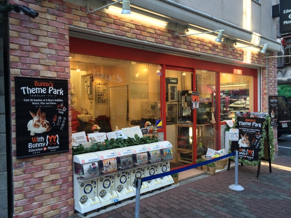 すっかり定着した“猫カフェ”ですが、いま“うさぎカフェ”がじわじわと人気を伸ばしているのをご存知でしょうか。