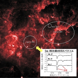 今回、特に顕著なDIBを検出した「はくちょう座OB2星団」の赤外線写真（NASA）と、WINEREDで取得したはくちょう座OB2星団の星（No.3, 10, 12）のDIBのスペクトル（右下）（東京大学の発表資料より）